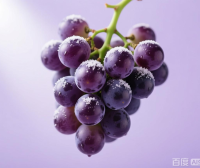 葡萄